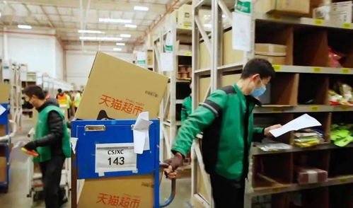 安心无忧 网络咨询服务的周全规划